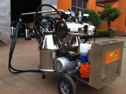 ガソリン機関を搭載する携帯用食品等級SS移動式搾り出す機械