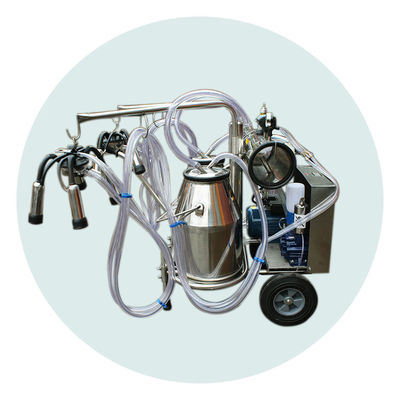 1時間あたりの2頭のバケツ220L/Min牛農場のミルク機械24牛