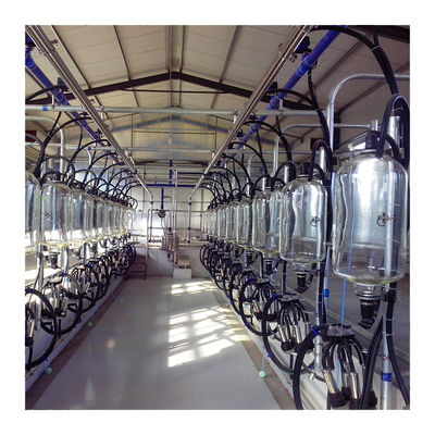ヘリンボン タイプ5T/h 20の単位の搾り出すパーラーの低雑音の自動搾り出すパーラー