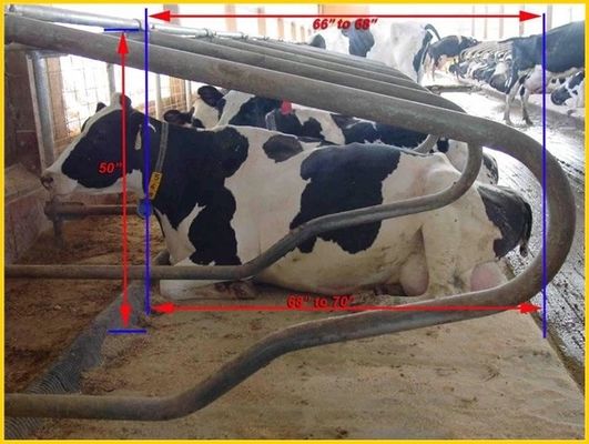接戦のタイプ1.30m/cowの塀の牛自由な停止の調節可能なサイズ