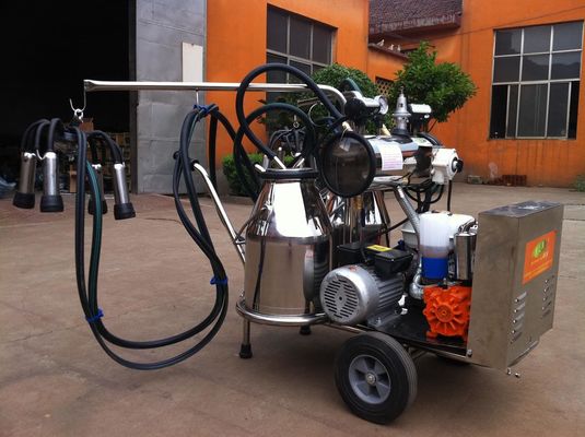 ガソリン機関を搭載する携帯用食品等級SS移動式搾り出す機械