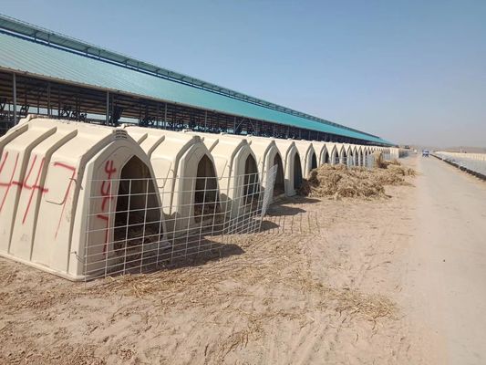 家畜ISOのプラスチック子牛は多ドームの子牛の箱を保護する